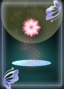 kkoi-1.jpg