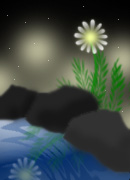 koi-2.jpg