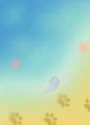 umi.jpg
