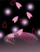 sakura.jpg